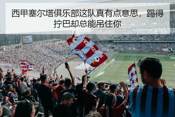 xi-jia-sai-er-ta-ju-le-bu-zhe-dui-zhen-you-dian-yi-si-ti-de-ning-ba-que-zong-neng-diao-zhu-ni-2-404.jpg
