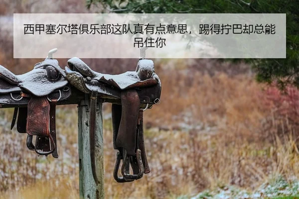 西甲塞尔塔俱乐部这队真有点意思，踢得拧巴却总能吊住你